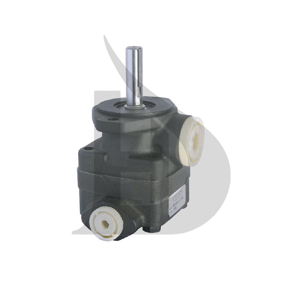 V20-SERIE FLÜGELZELLENPUMPEN